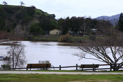 Almaden Lake_MG_2427.JPG