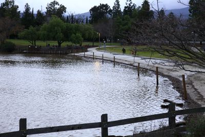 _MG_2429.JPG
