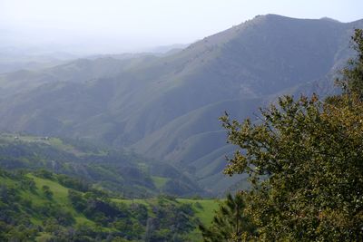 DSCF1032.JPG