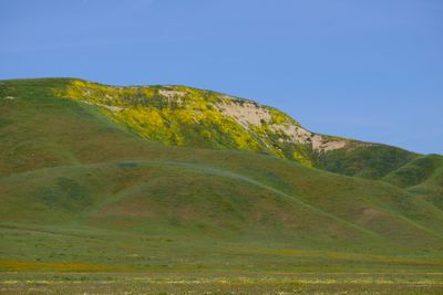 DSCF1054.JPG