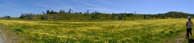 DSCF1068.JPG