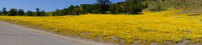 DSCF1069.JPG