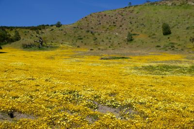 DSCF1071.JPG