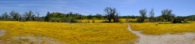 DSCF1074.JPG