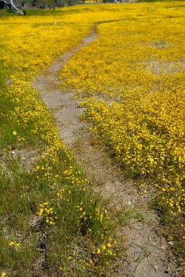 DSCF1078.JPG