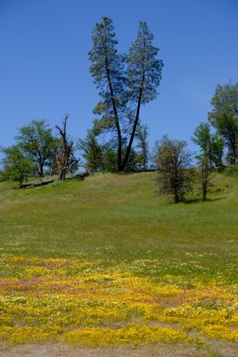 DSCF1082.JPG