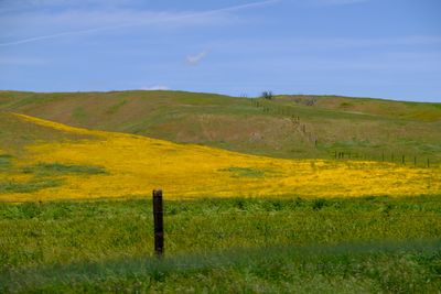 DSCF1089.JPG