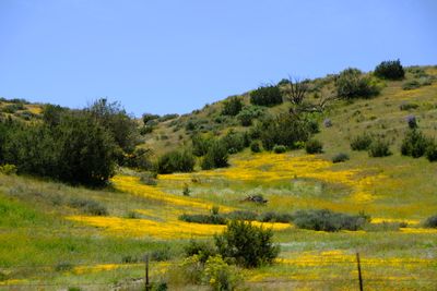 DSCF1094.JPG