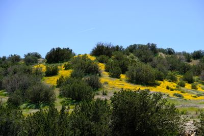 DSCF1095.JPG