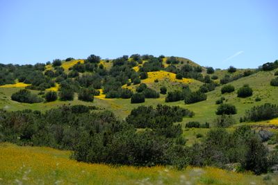DSCF1096.JPG