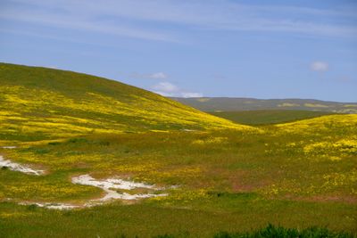 DSCF1101.JPG