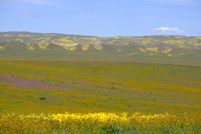DSCF1106.JPG