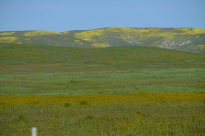 DSCF1112.JPG