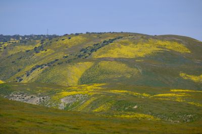 DSCF1114.JPG