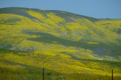 DSCF1117.JPG