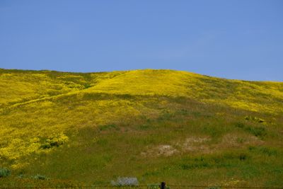 DSCF1123.JPG