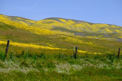 DSCF1125.JPG