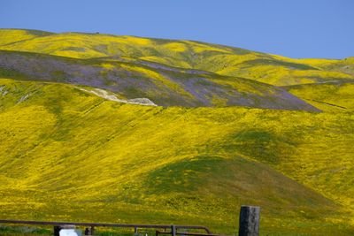 DSCF1142.JPG