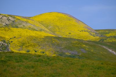 DSCF1145.JPG