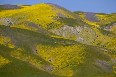 DSCF1147.JPG