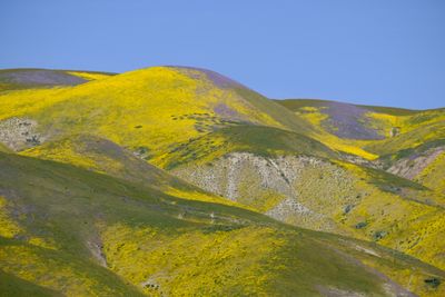 DSCF1148.JPG