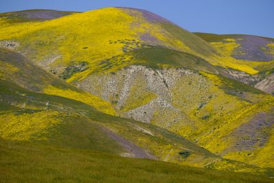 DSCF1149.JPG