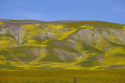 DSCF1159.JPG