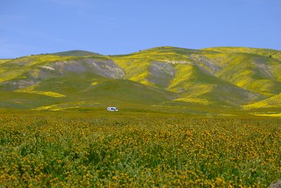 DSCF1161.JPG