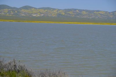 DSCF1187.JPG
