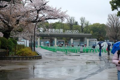 DSCF0025.JPG