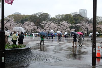 DSCF0028.JPG