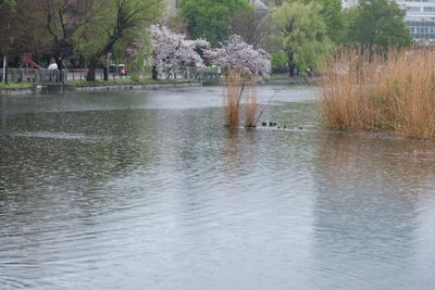 DSCF0032.JPG