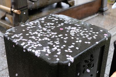 DSCF0036.JPG