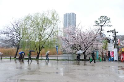 DSCF0047.JPG