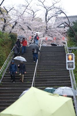 DSCF0050.JPG
