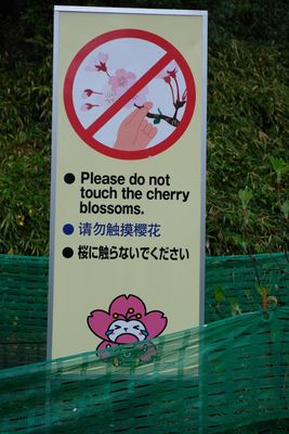 DSCF0053.JPG