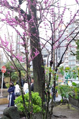DSCF0087.JPG