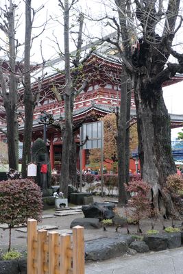 DSCF0088.JPG