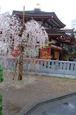 DSCF0107.JPG