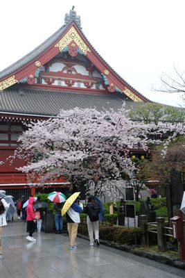 DSCF0109.JPG