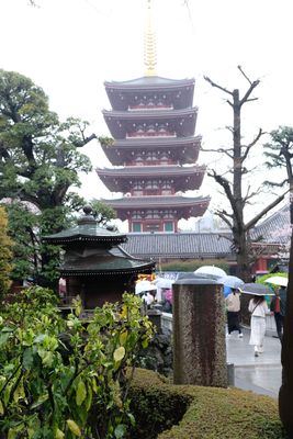 DSCF0111.JPG