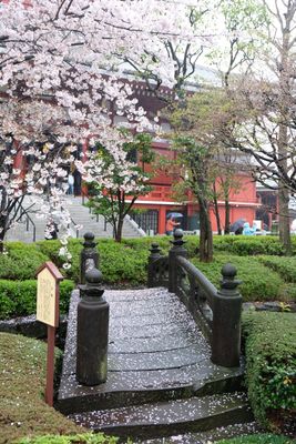 DSCF0114.JPG