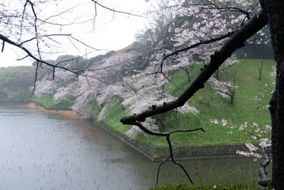 DSCF0126.JPG