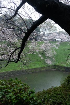 DSCF0128.JPG
