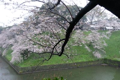 DSCF0129.JPG