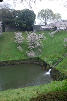 DSCF0133.JPG