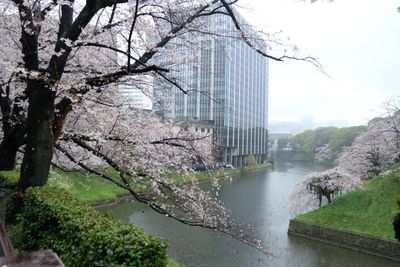 DSCF0134.JPG