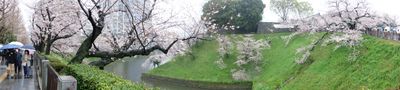 DSCF0136.JPG