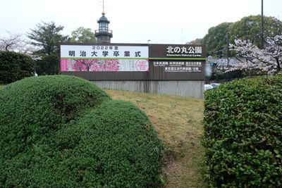 DSCF0137.JPG
