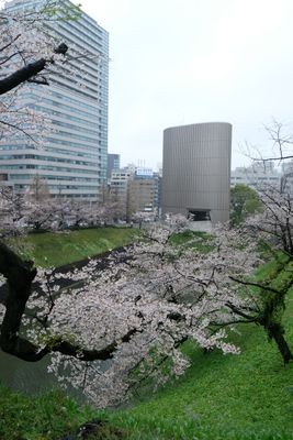 DSCF0147.JPG